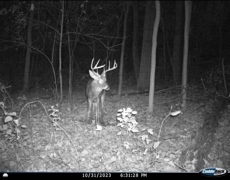 WP02 Enola Rd, LotWP002, Carlisle, PA 17015 Land and Farm