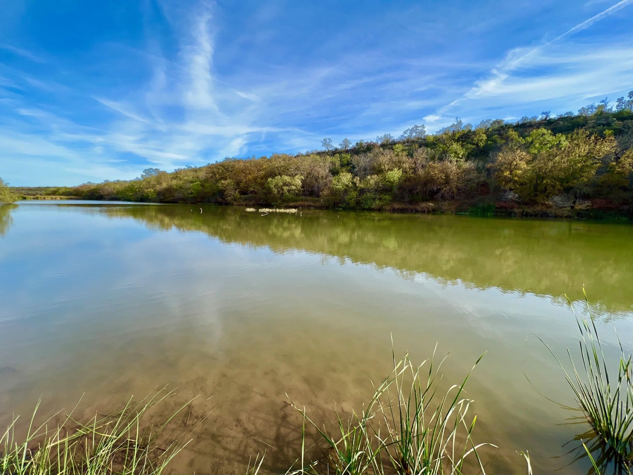 1281 Pr 3740, Voss, TX 76888 MLS 20494947 Land and Farm