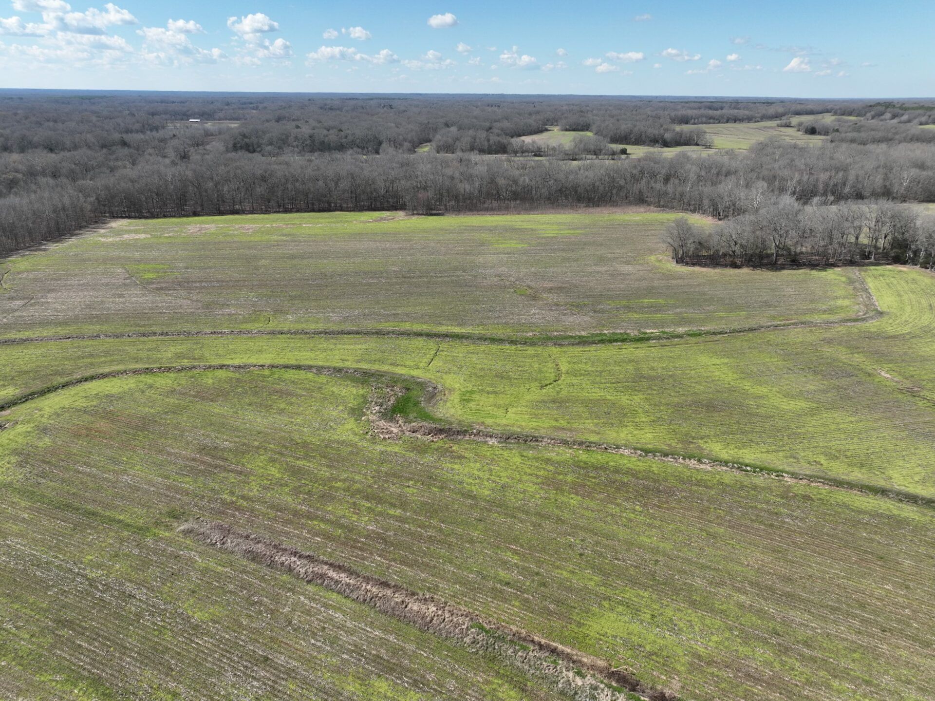 168 Acres, +/ 168 Acres, Yazoo County, MS, Yazoo City, MS 39039 Land