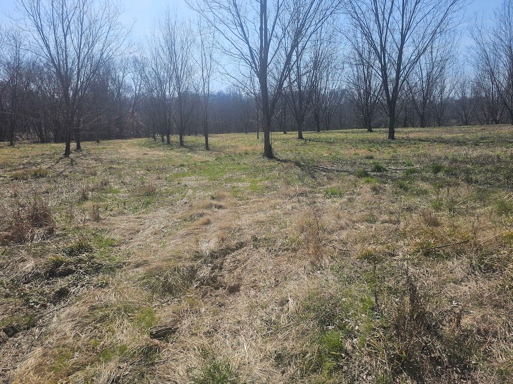Lenox Nauvoo Rd, LotWP001, Dyersburg, TN 38024 Land and Farm