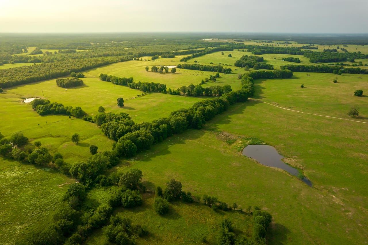 621 COUNTY ROAD 3310 N., De Kalb, TX 75559 Land and Farm