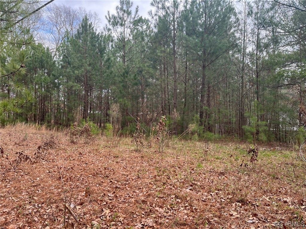 0.4 Acres, 7433 Belmont Rd, Chesterfield, VA 23832 Land and Farm