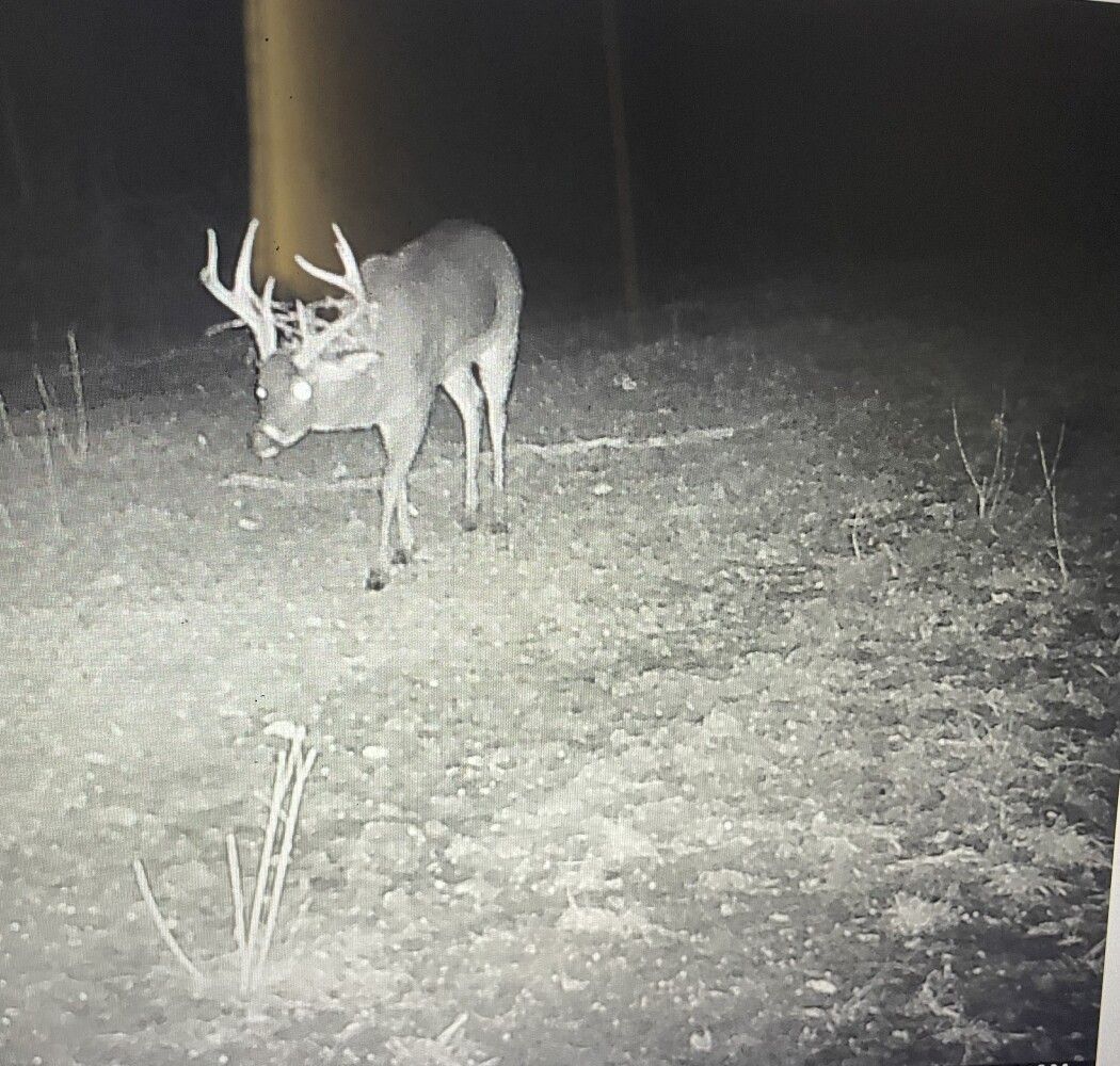 100 Acres, 100 hwy 462, Port Gibson, MS 39150 Land and Farm