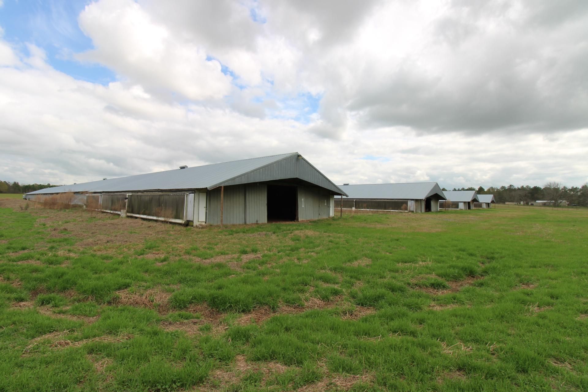 1455 Howell Road, Doerun, GA 31744 Land and Farm