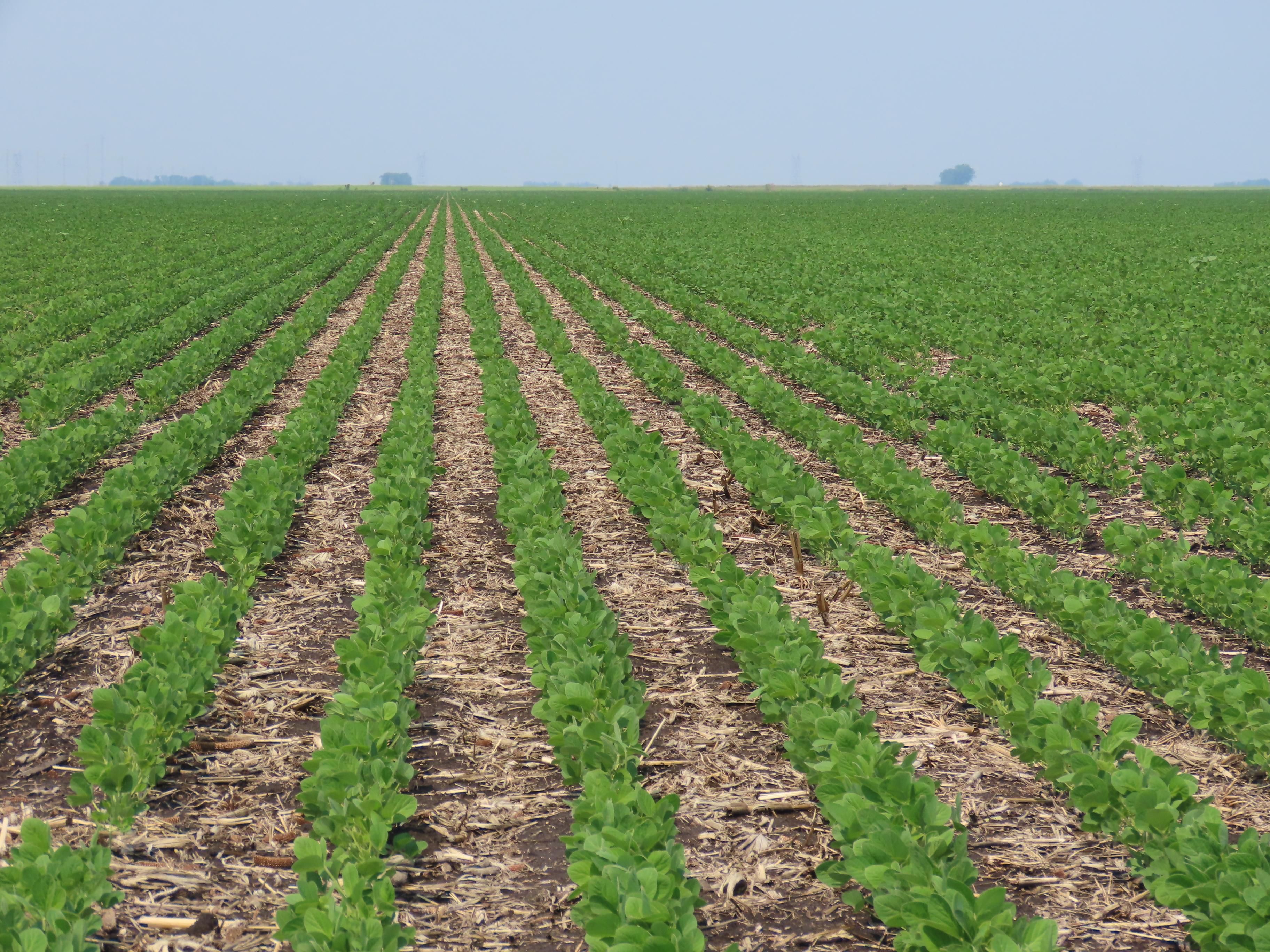 160 acres in Breckenridge, MN, 56520 Land and Farm