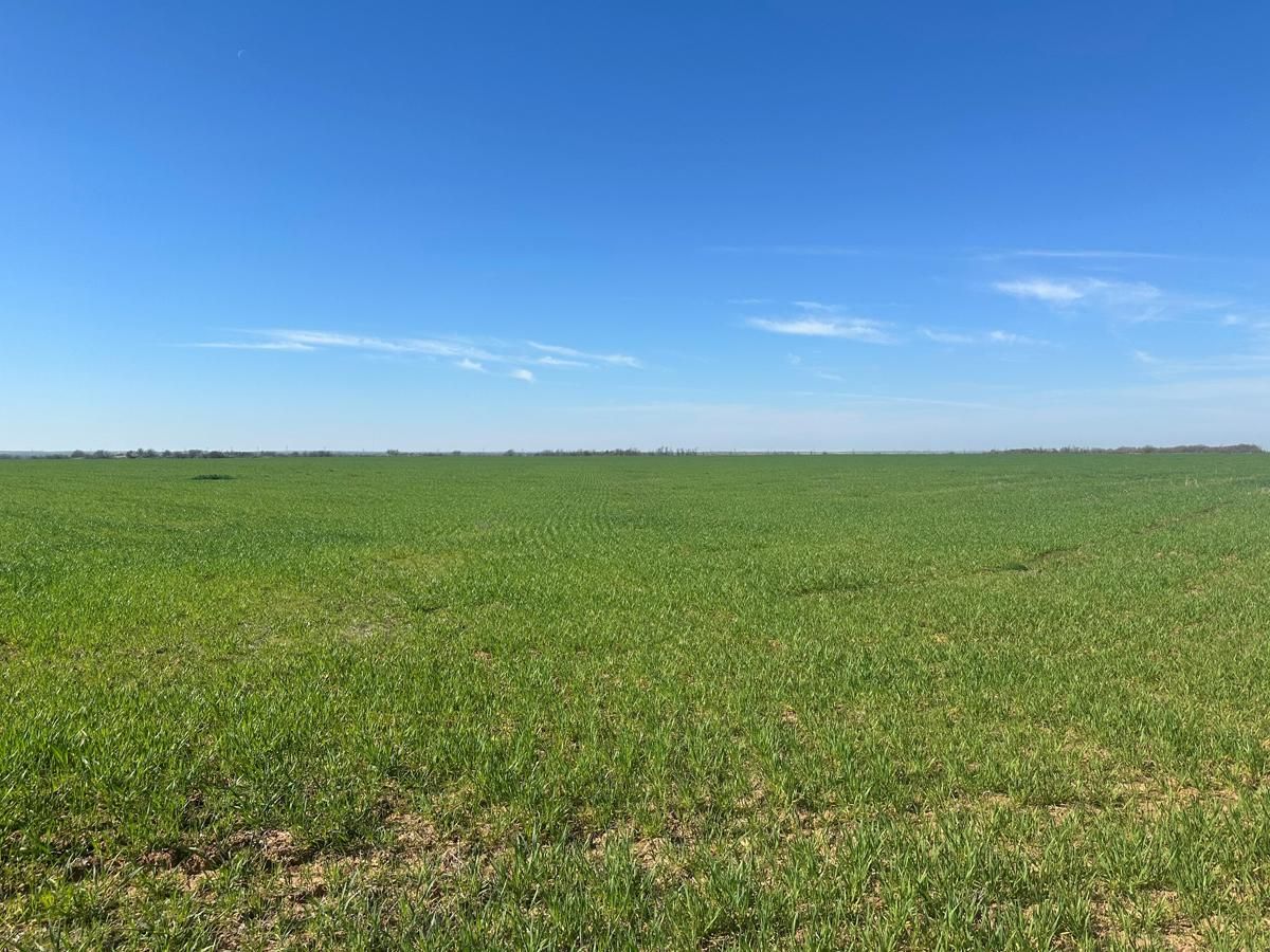 160 acres in Grandfield, OK, 73546 MLS 11258152 Land and Farm