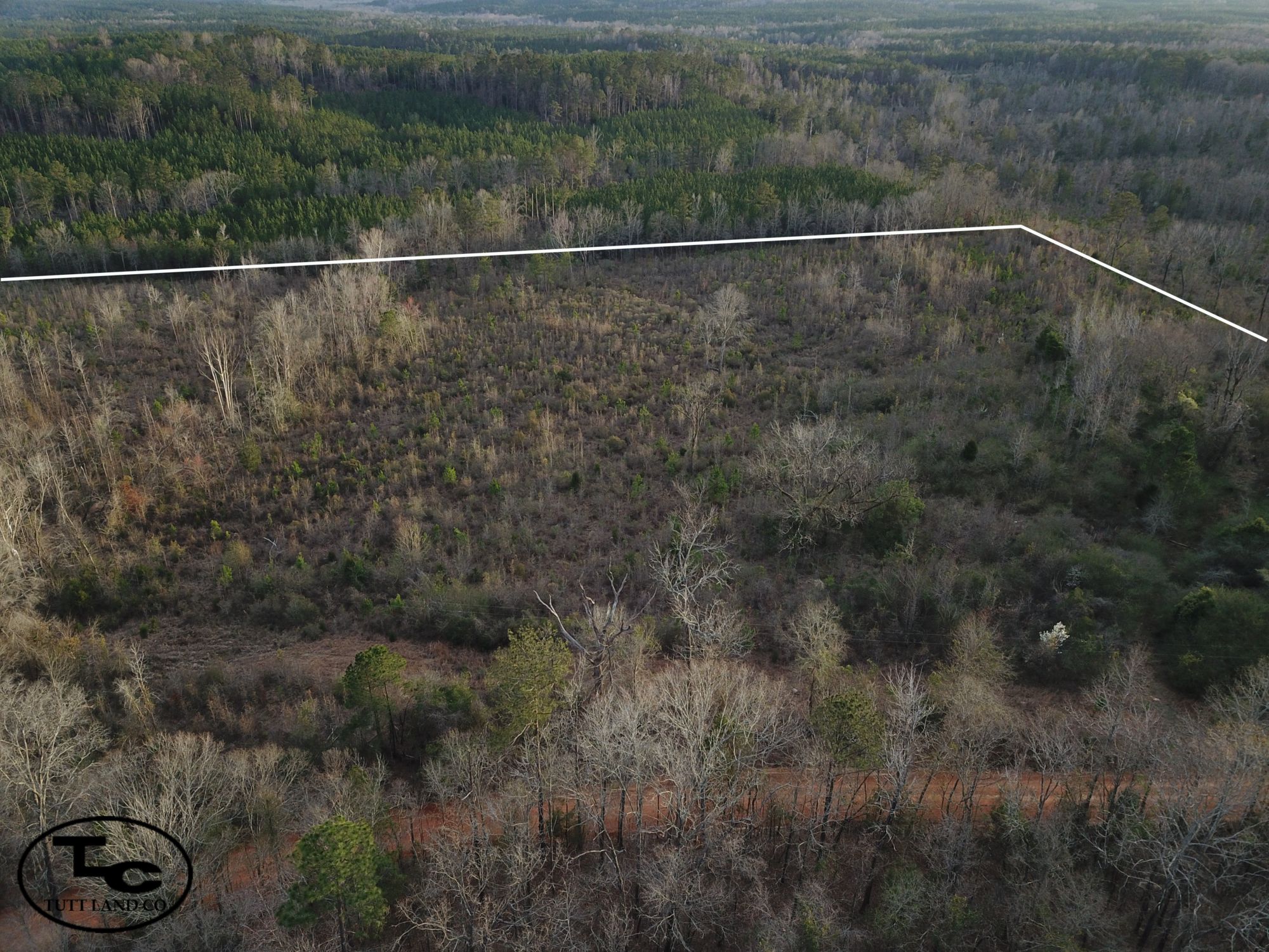 21 Acres, Minter, AL 36761 Land and Farm