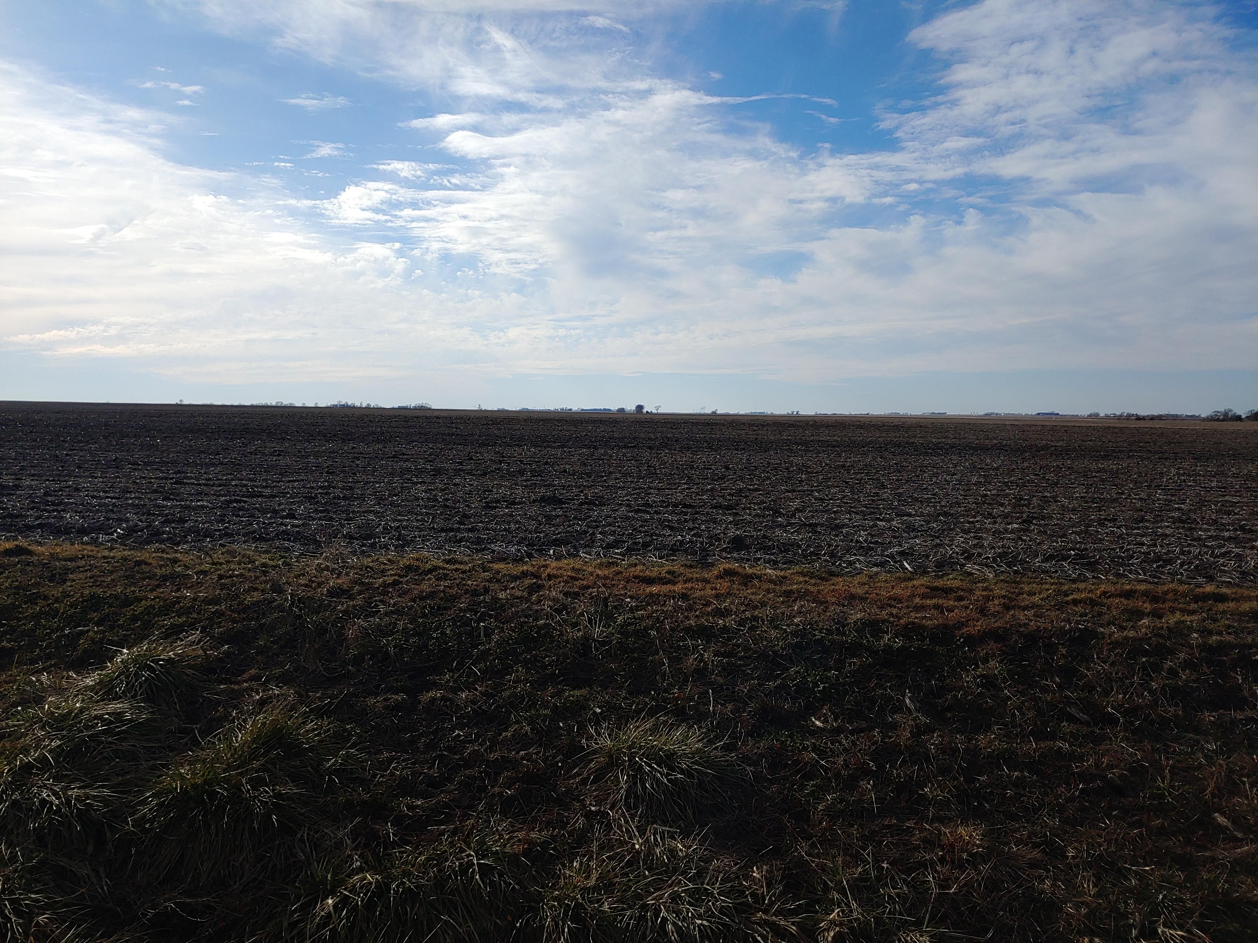 100.15 Acres, E 2800th Rd., Sidell, IL 61876 Land and Farm
