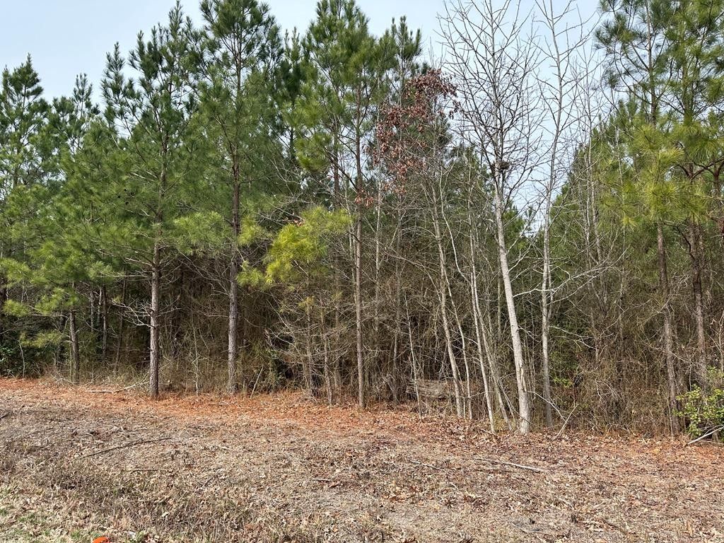 95 acres Morattico Creek Road, Lively, VA 22507 MLS 115777 Land