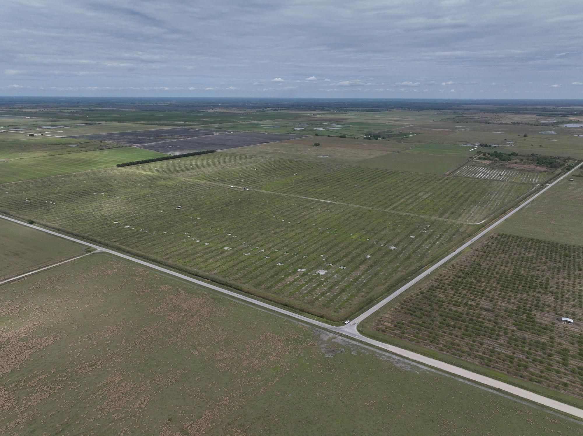Scarborough Rd, Zolfo Springs, FL 33890 Land and Farm