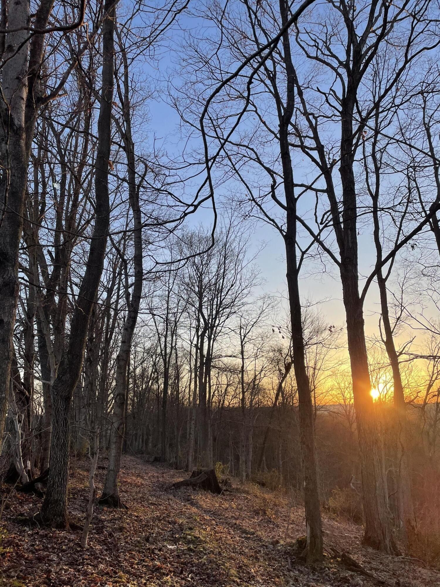 50 Acres, 000 Hilltop Road Road, Ewing, KY 41039 Land and Farm