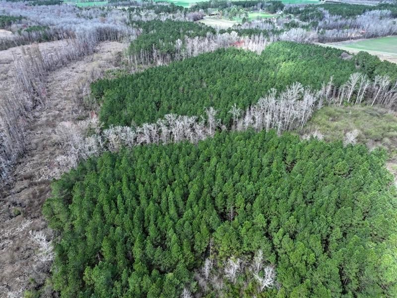 McGougan Road, Lumber Bridge, NC 28357 MLS 100433154 Land and Farm