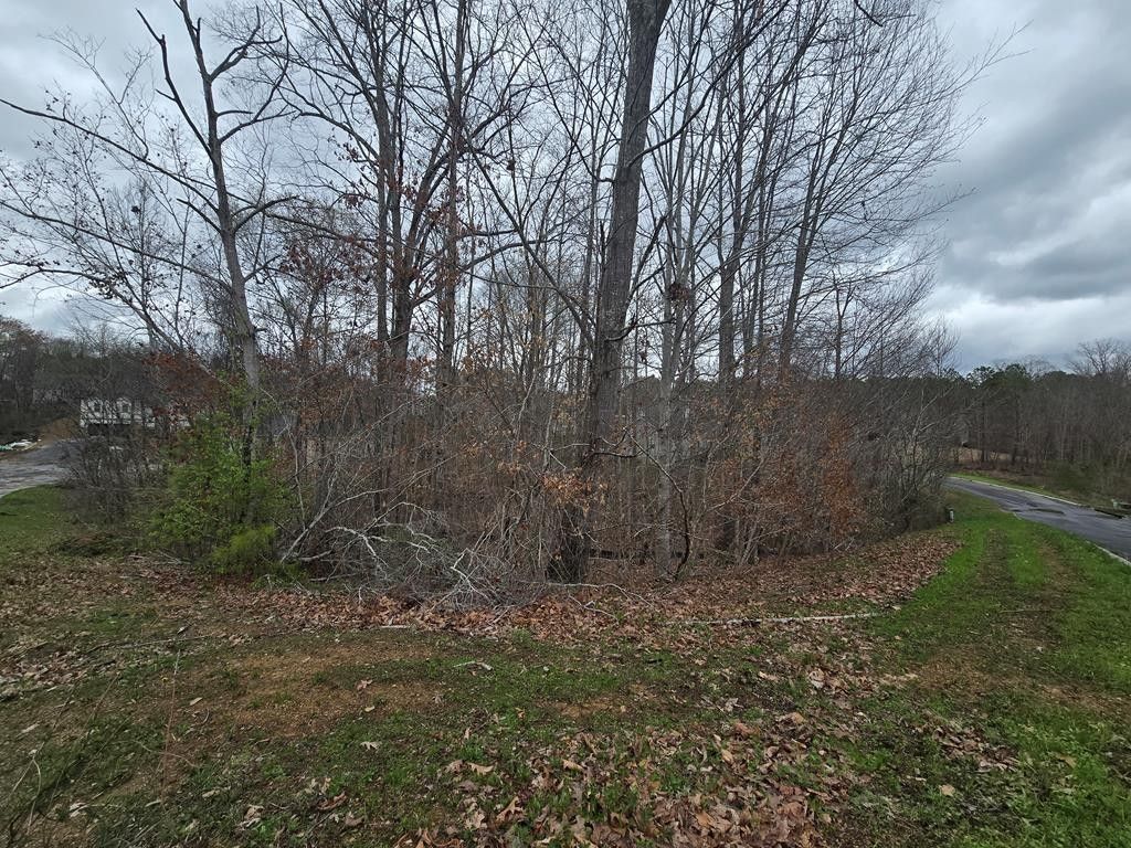 0.5 Acres, Lot 11 Creeks Edge Way, Dalton, GA 30721 Land and Farm