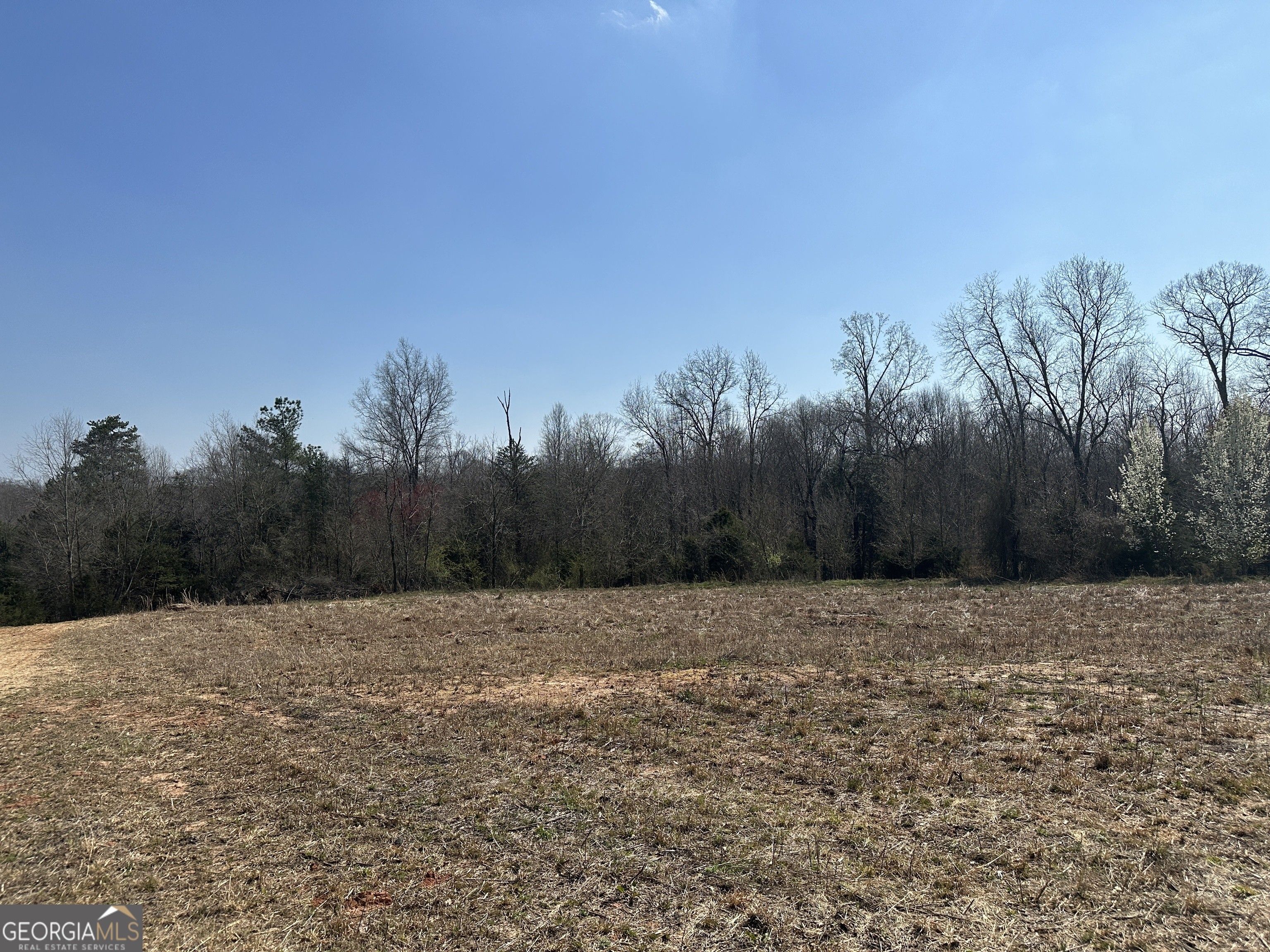 2 Acres, 0 Mineral Springs Conn., Demorest, GA 30535 Land and Farm