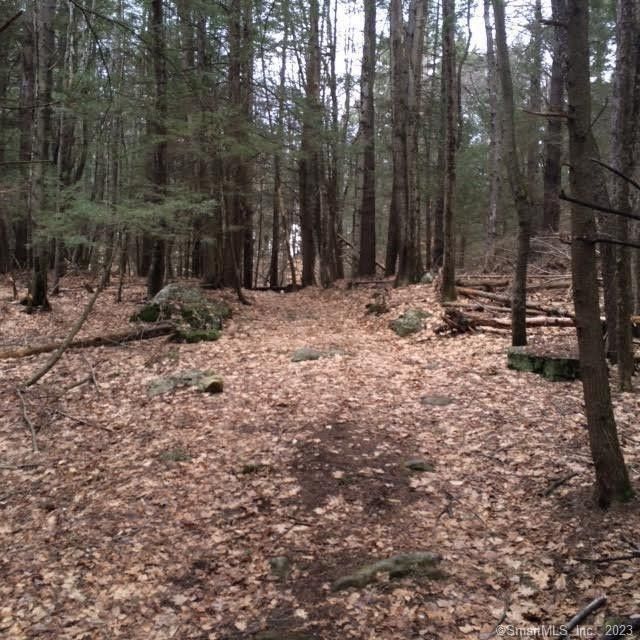 10.65 Acres, 0 Riverton Road, Hartland, CT 06027 Land and Farm