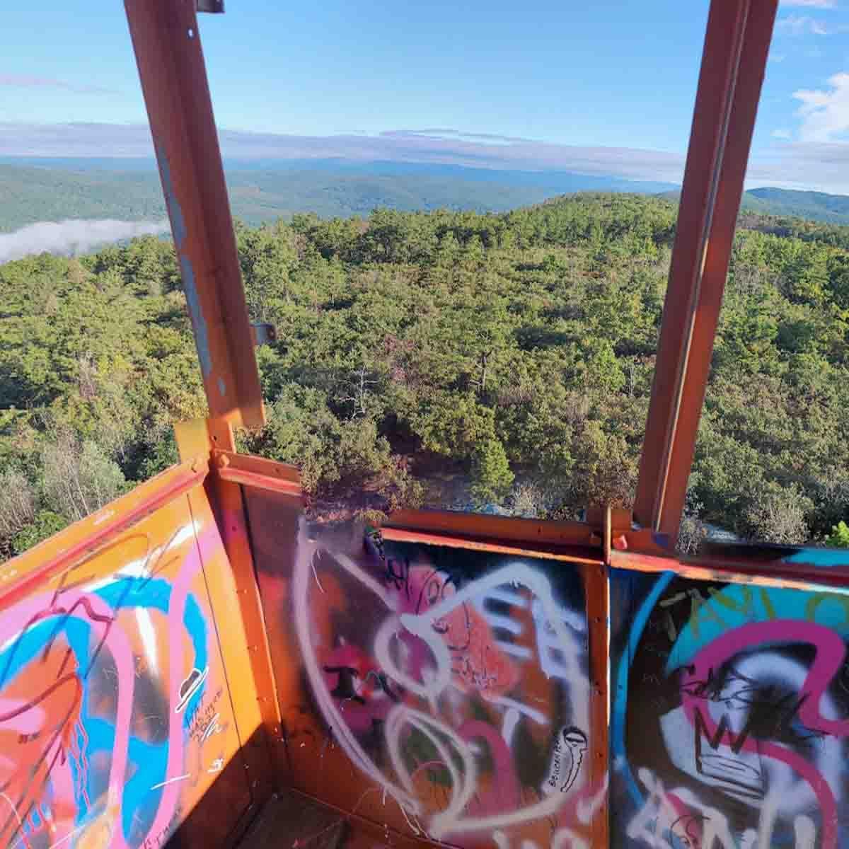 Fire Tower Road, Bloomingburg, NY 12721 MLS 21.A82 Land and Farm