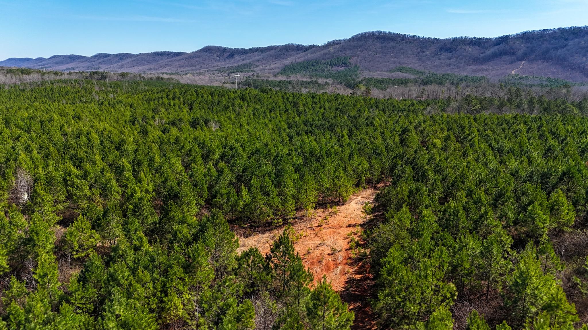 GA Hwy 100, Lyerly, GA 30730 Land and Farm