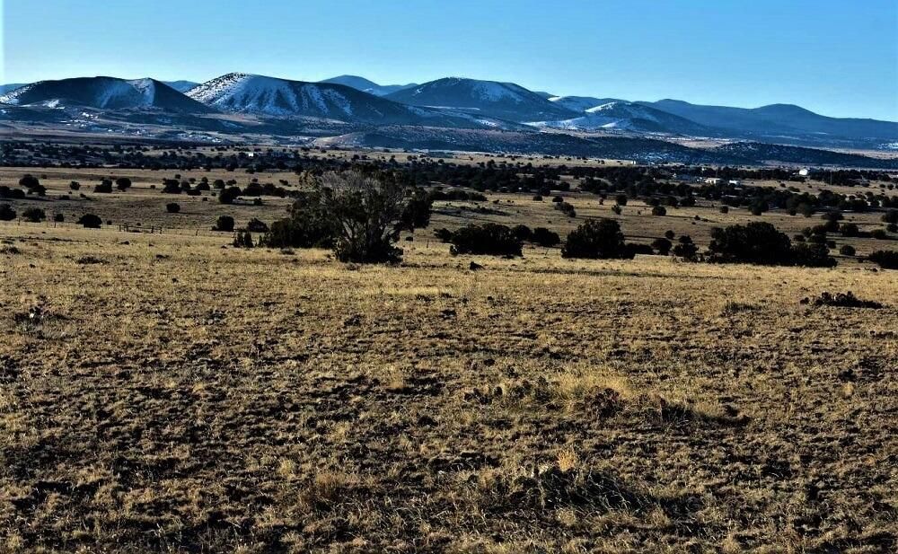 Osage Ln., Concho, AZ 85924 Land and Farm