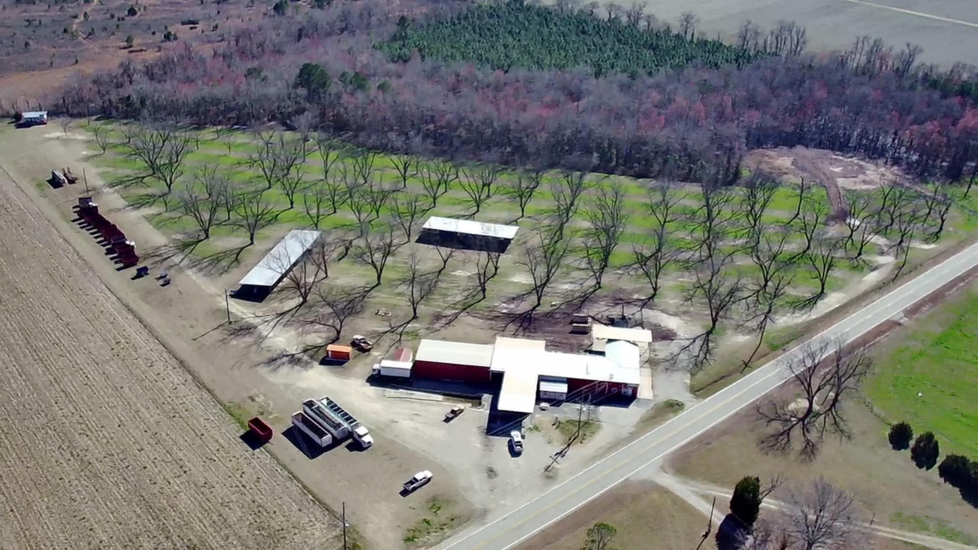 14254 231, Davisboro, GA 31018 Land and Farm