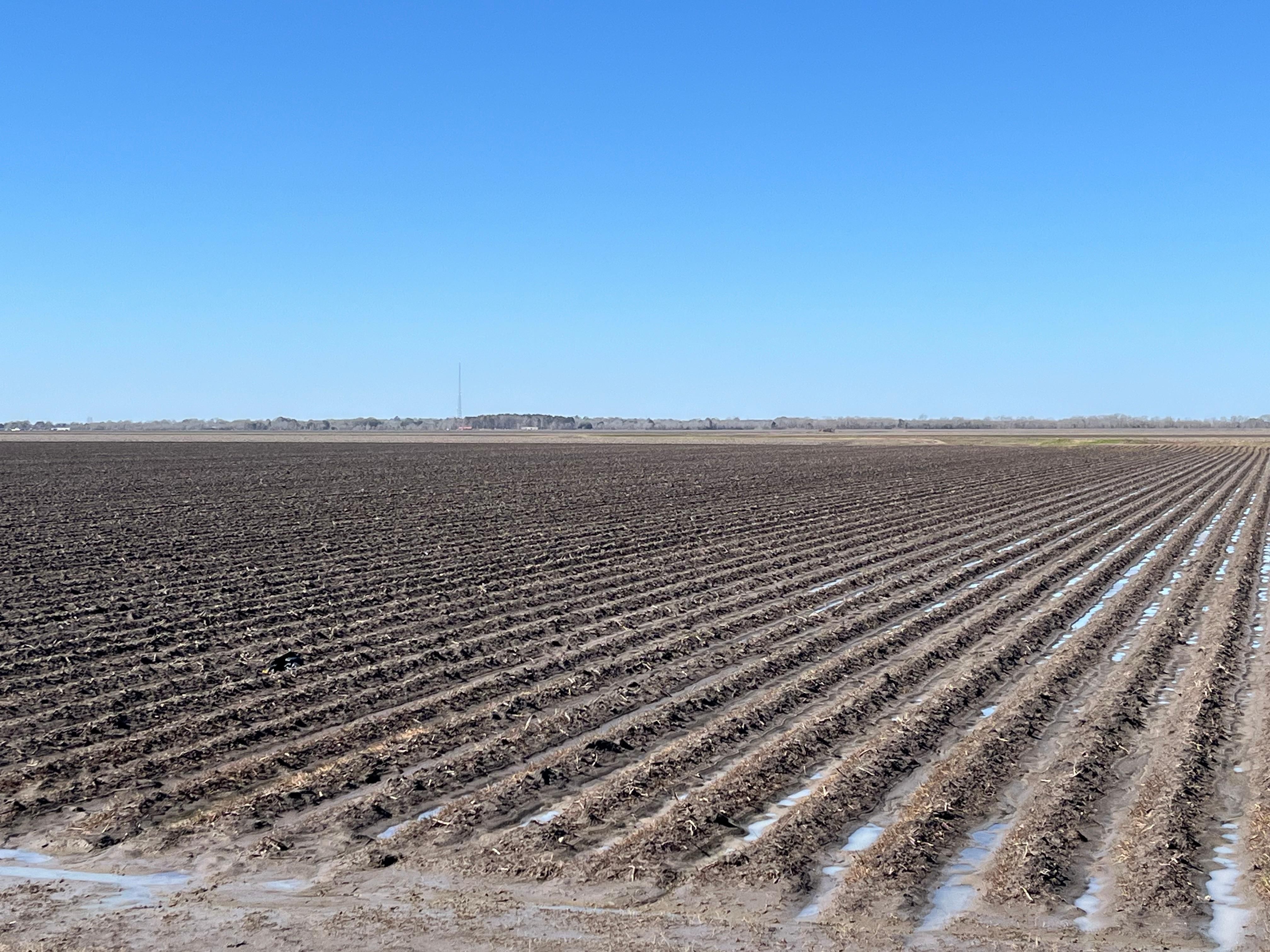 Duty Road, Damon, TX 77430 Land and Farm