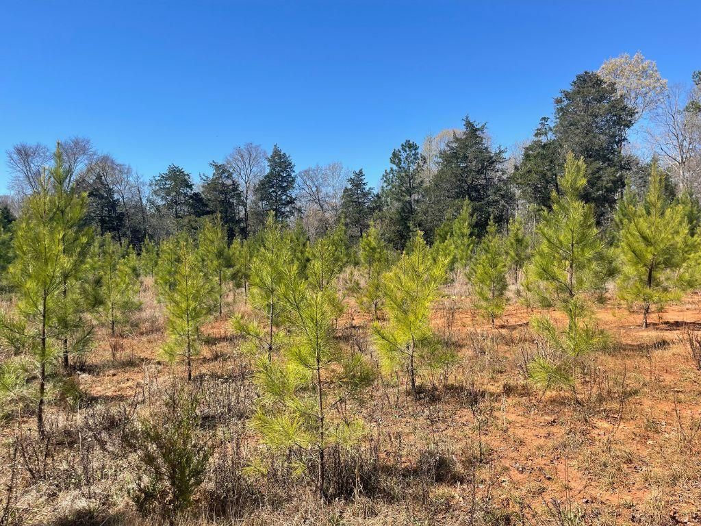 Old Charleston Rd, McCormick, SC 29835 MLS 20263971 Land and Farm