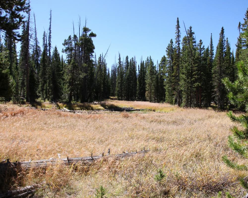 0 Richardson Rd, Ryan Park, WY 82331 Land and Farm