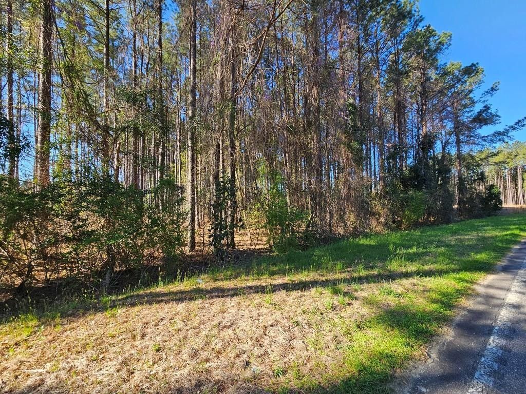 TBD Riley Road Lot 5, Saint Matthews, SC 29135 MLS 162795 Land and