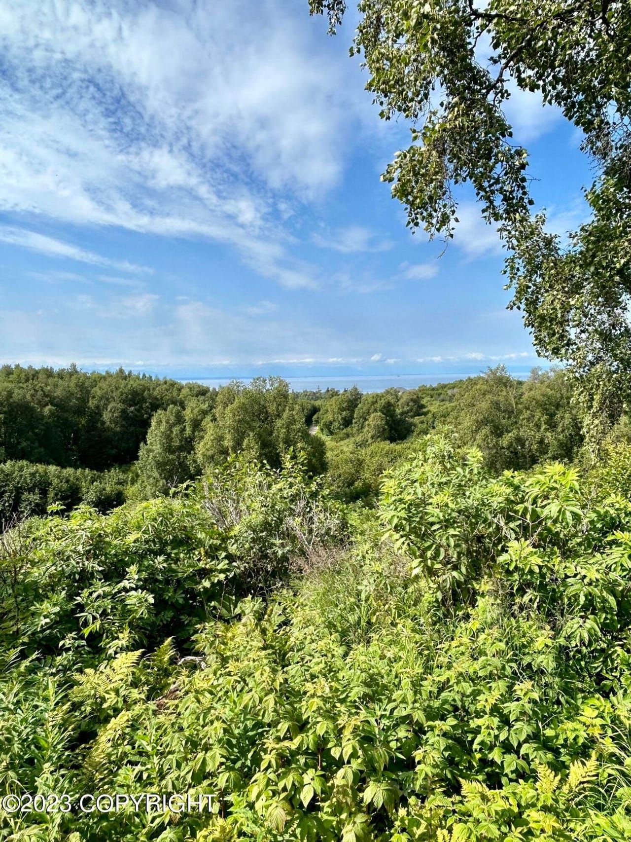 3.49 Acres, L4 B4 Blockade Glacier Road, Nikiski, AK 99635 Land and Farm