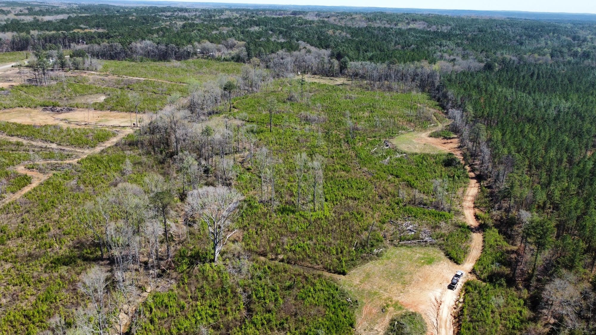 40 Acres, +/ 40 Acres, Attala County, MS, Durant, MS 39192 Land and Farm