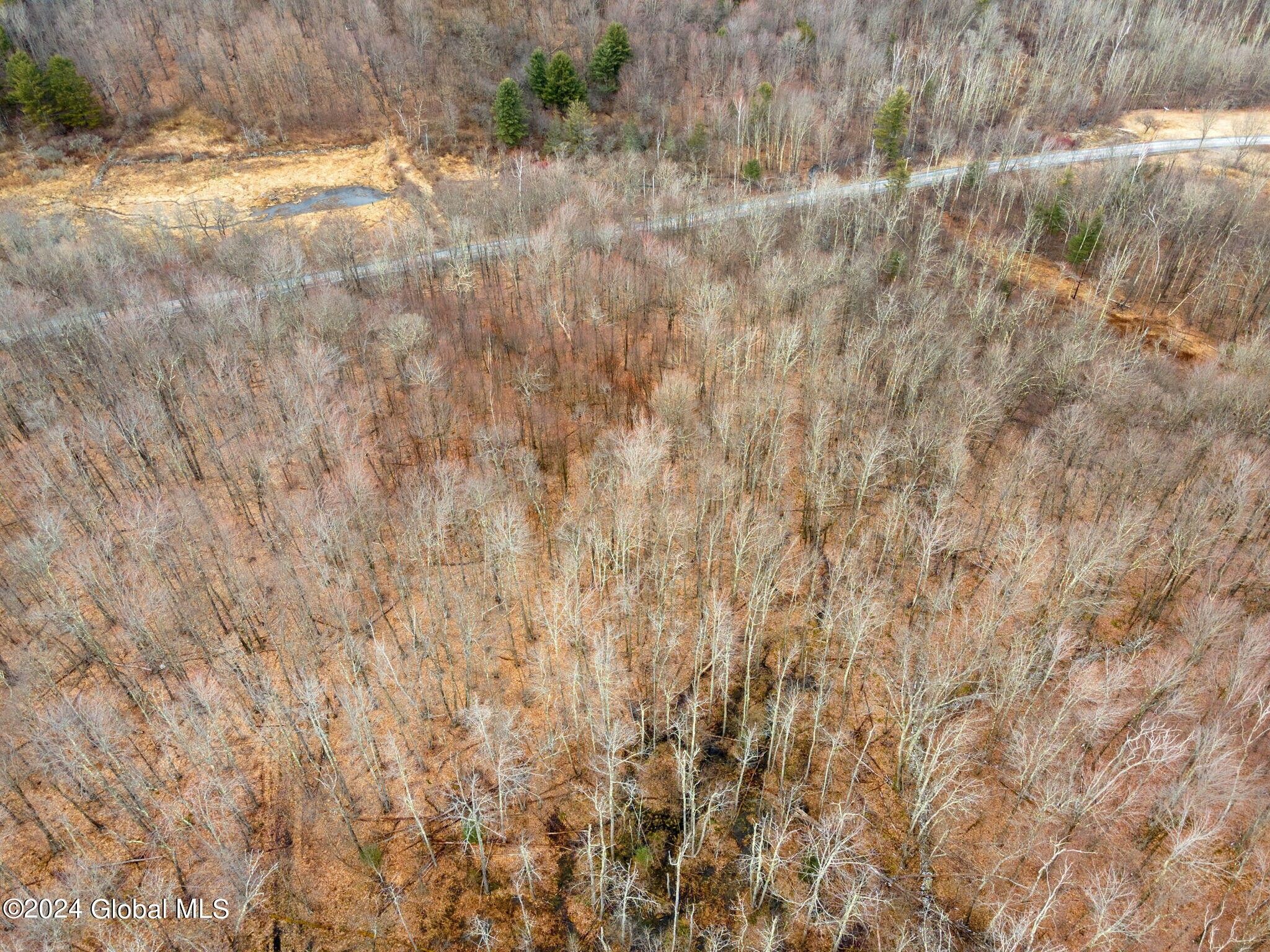 5.08 Acres, L2.29 Blenheim Hill Road, North Blenheim, NY 12131 Land