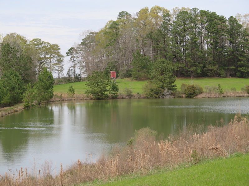 1488 County Road 632, LotWP001, Quitman, MS 39355 Land and Farm