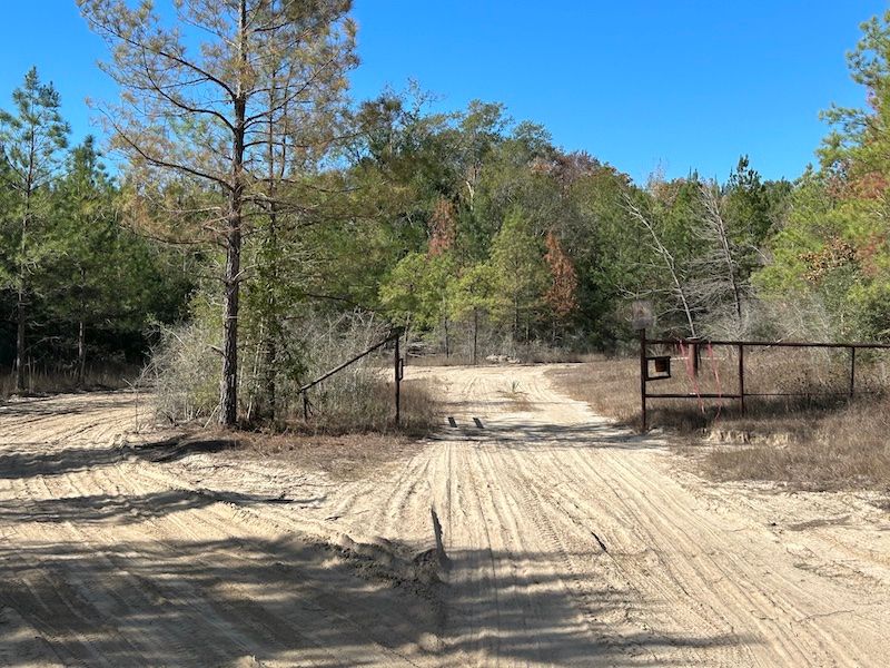 Beulah Rd., LotWP001, Winnfield, LA 71348 Land and Farm