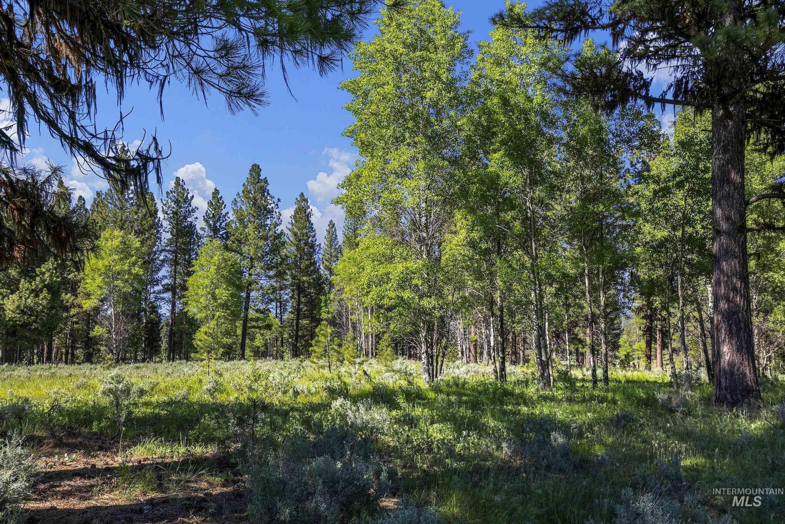 15 Acres, Parcel 8 Harris Creek Rd, Placerville, ID 83666 Land and Farm