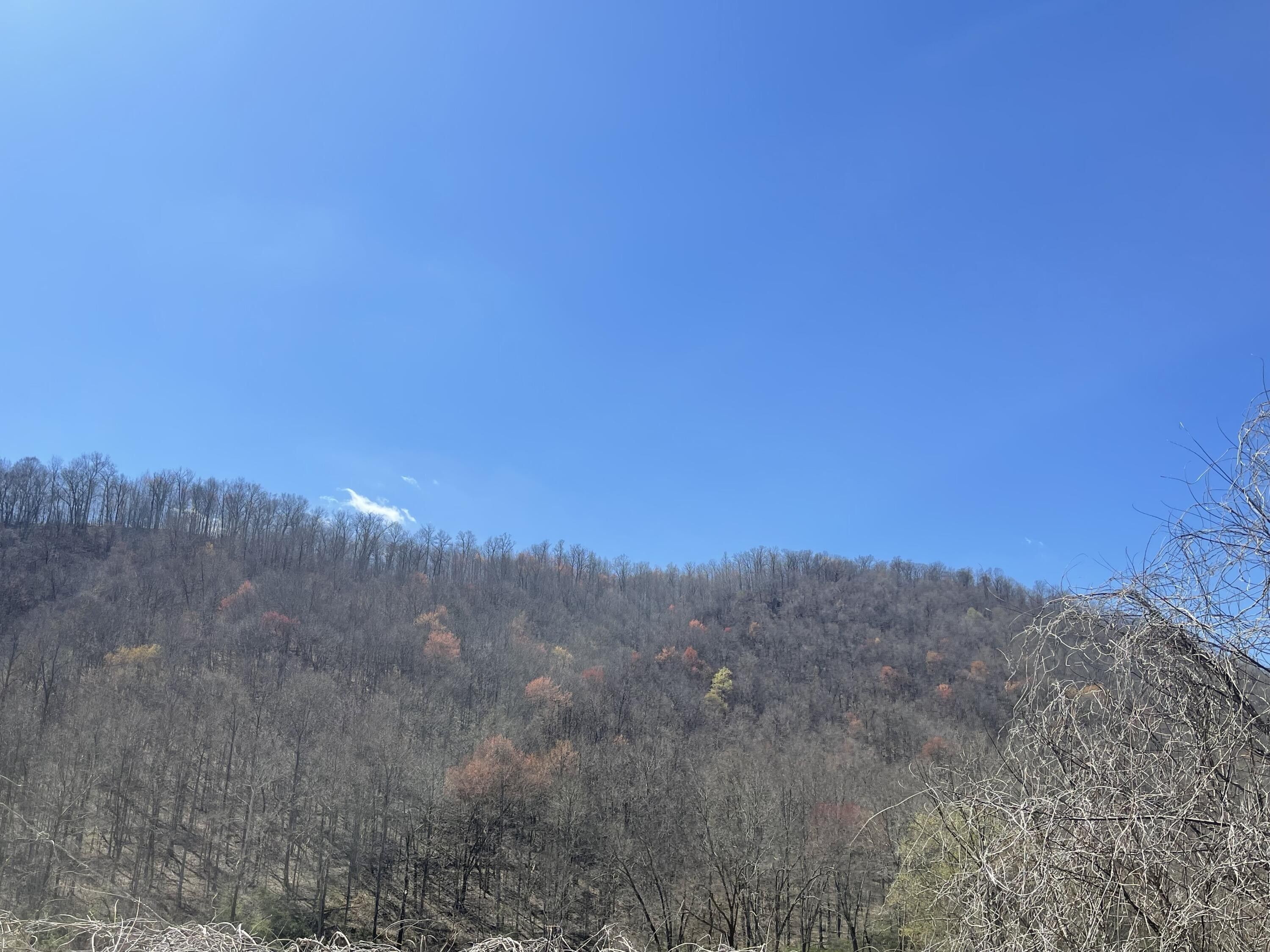 9999 KY 223, Flat Lick, KY 40935 MLS 24005824 Land and Farm