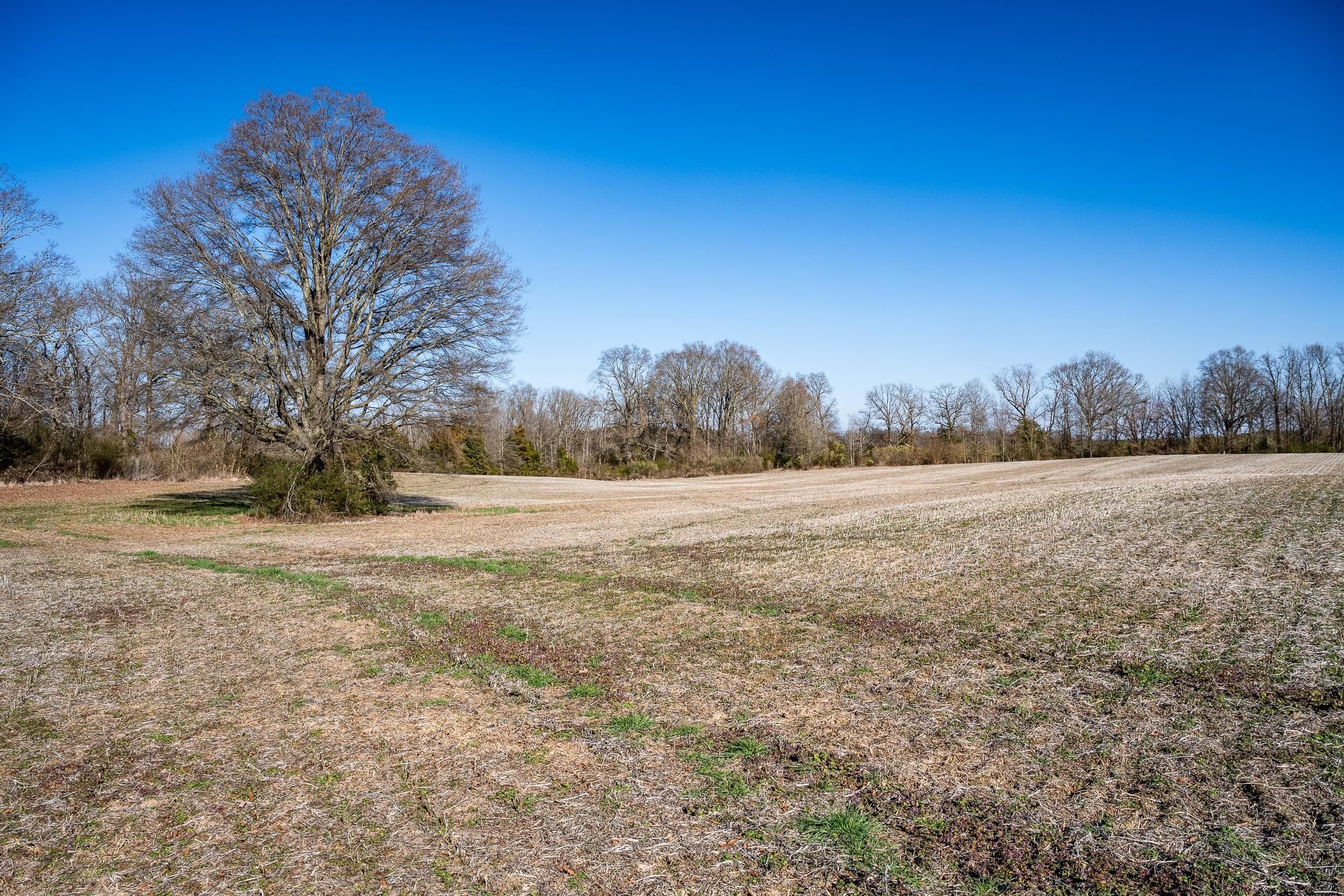 18.12 Acres, Hamilton Crossroads, Marshville, NC 28103 Land and Farm