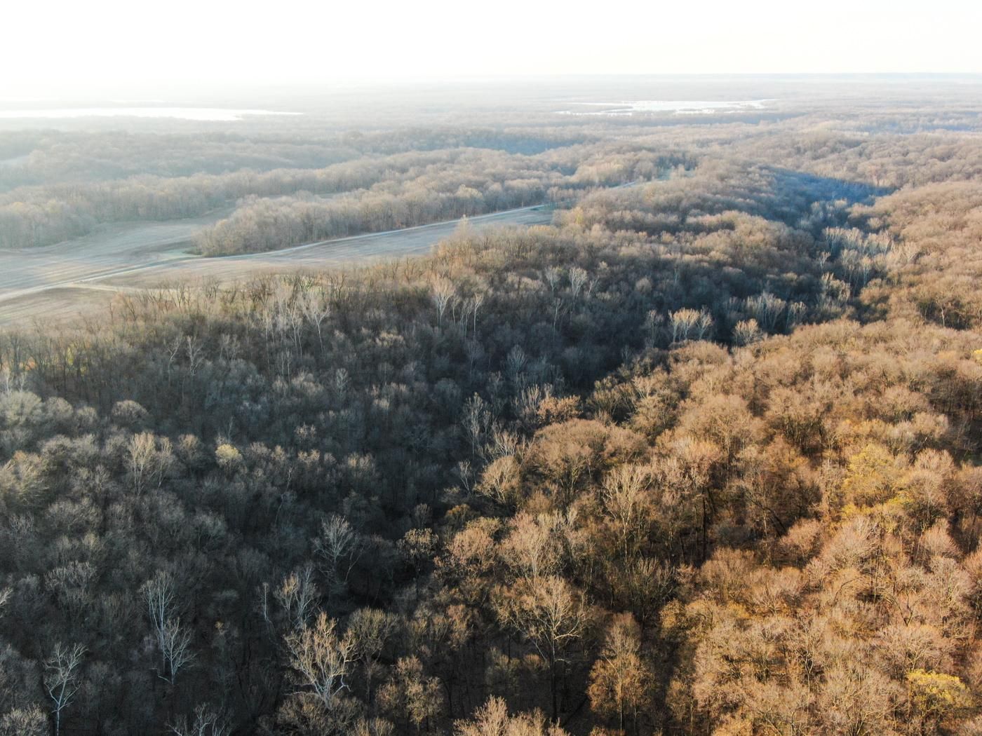 Geiman Road, Browning, IL 62624 Land and Farm