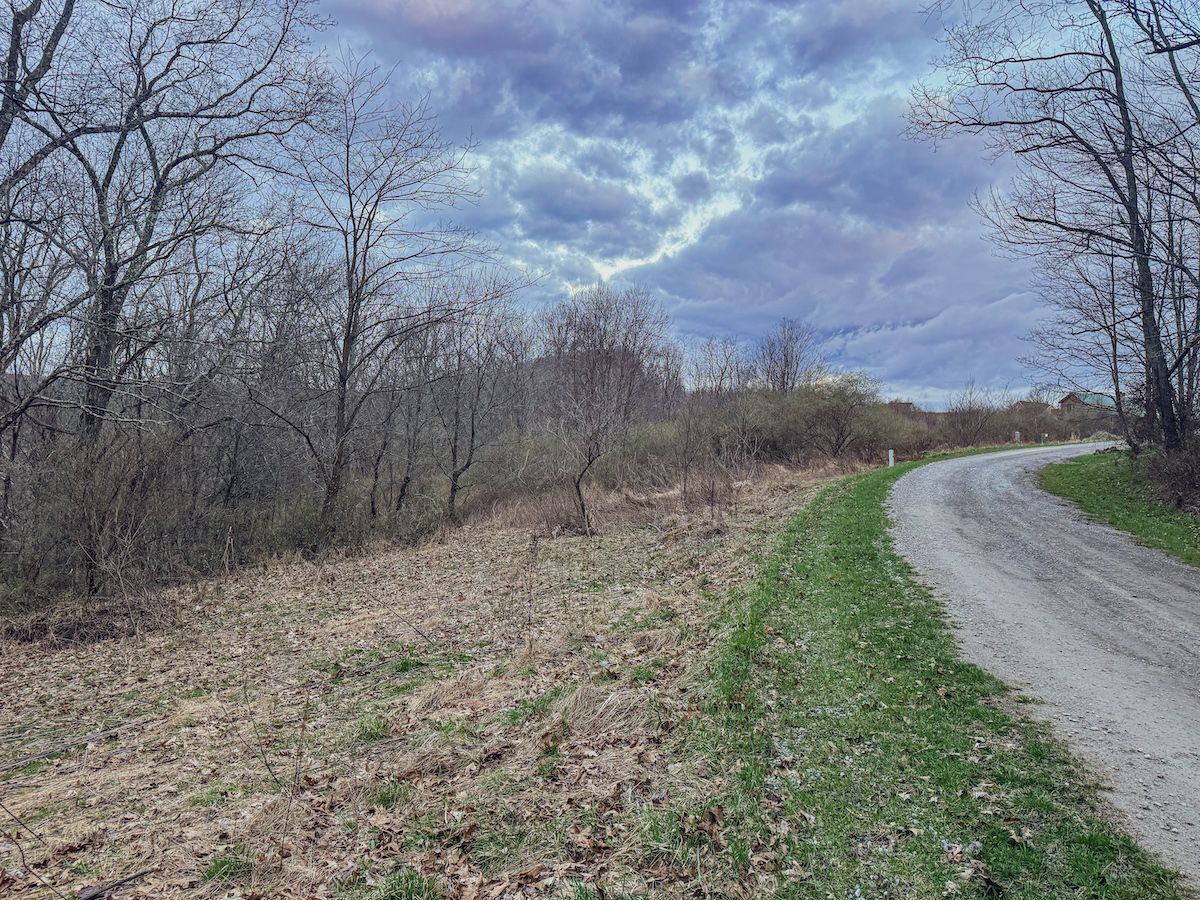 0 Meadown Lane, Lot WP22, Bruceton Mills, WV 26525 Land and Farm