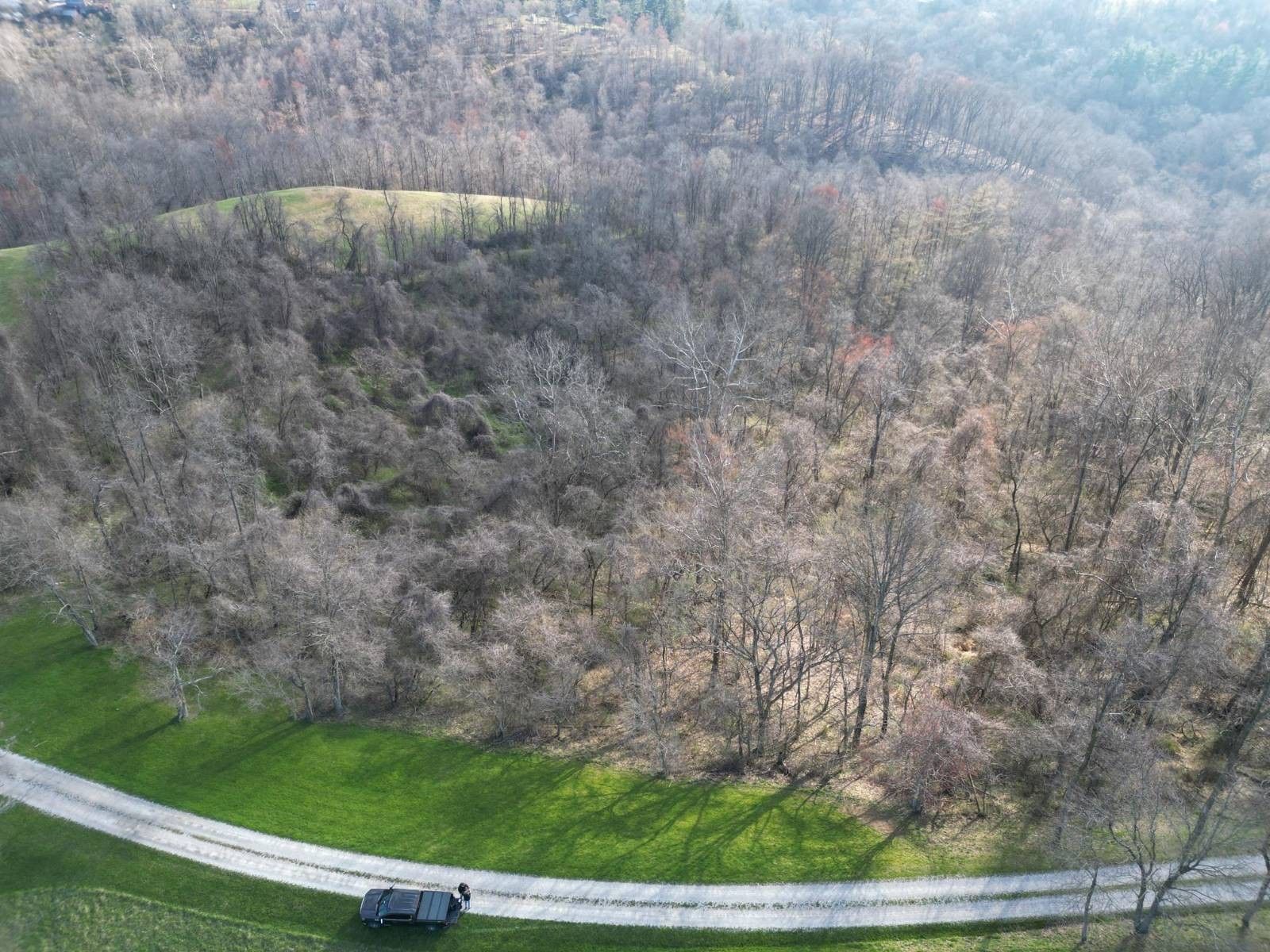 55 Acres, 0 Maxwell Lane, Moundsville, WV 26041 Land and Farm