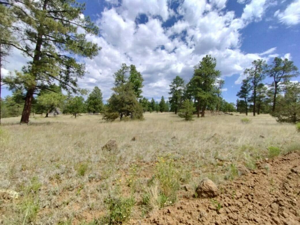 5.18 Acres, Mason Rnch Rd, Ramah, NM 87321 Land and Farm
