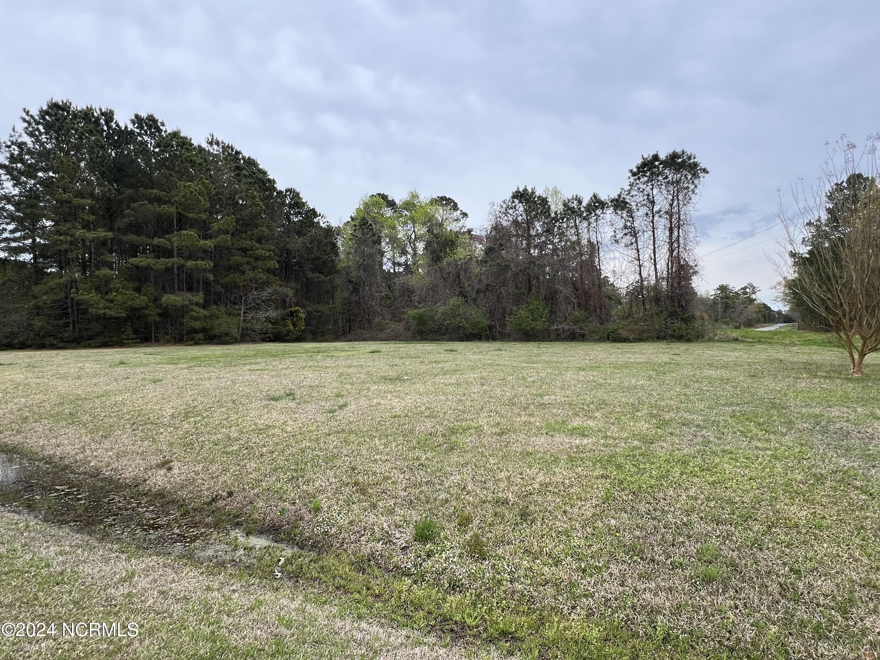 5.75 Acres, 48 Tarpon Point Road, Bath, NC 27808 Land and Farm