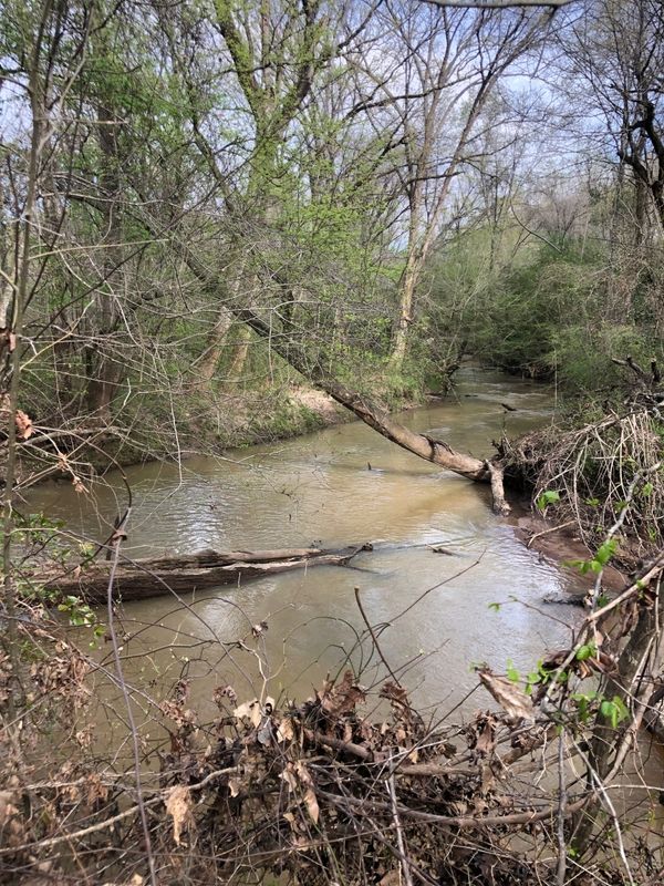 23 Acres, 0 Julia Jordan Rd, Roberta, GA 31078 Land and Farm