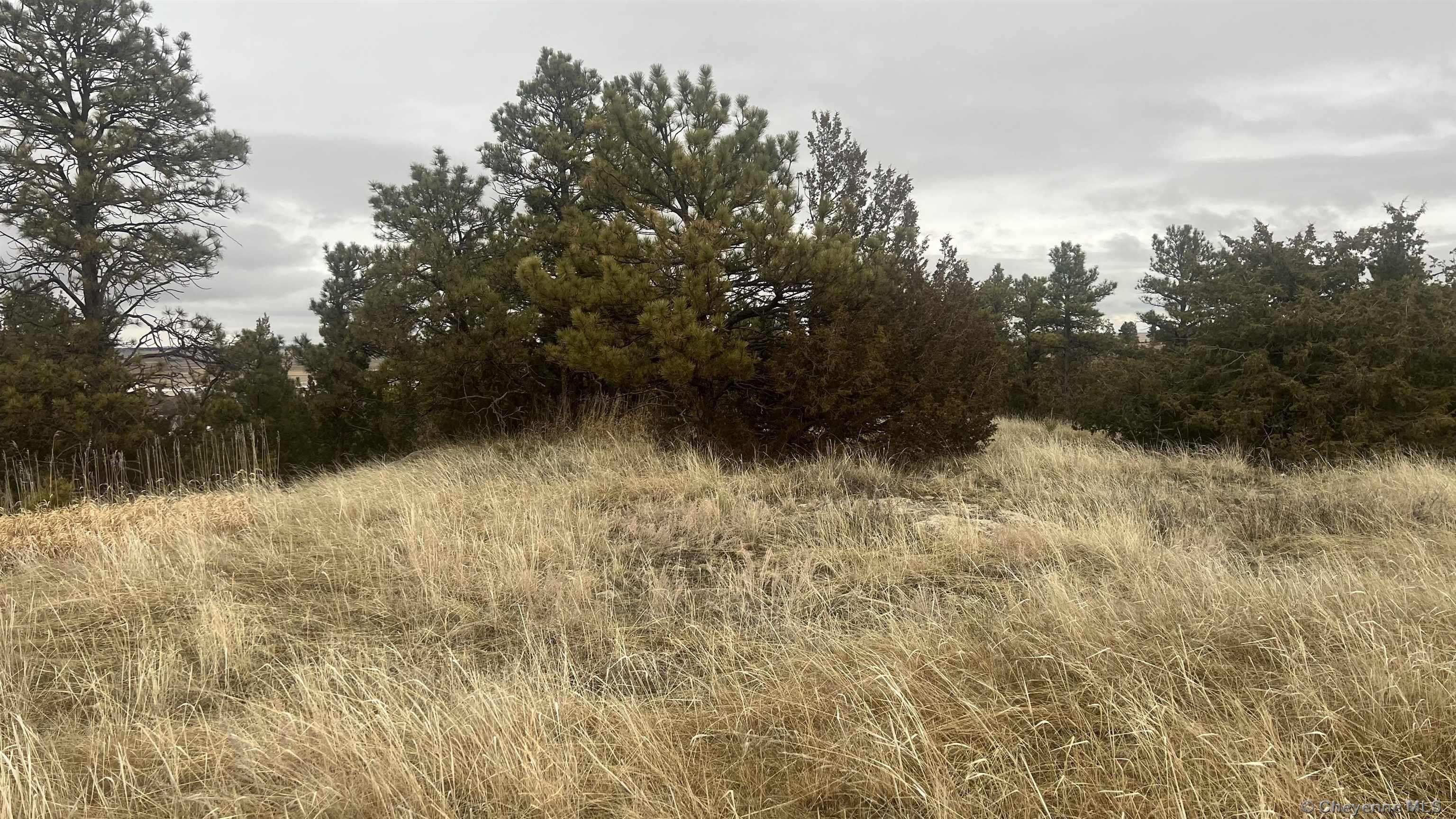 2.42 Acres, 720 MARQUARDT AVE, Pine Bluffs, WY 82082 Land and Farm