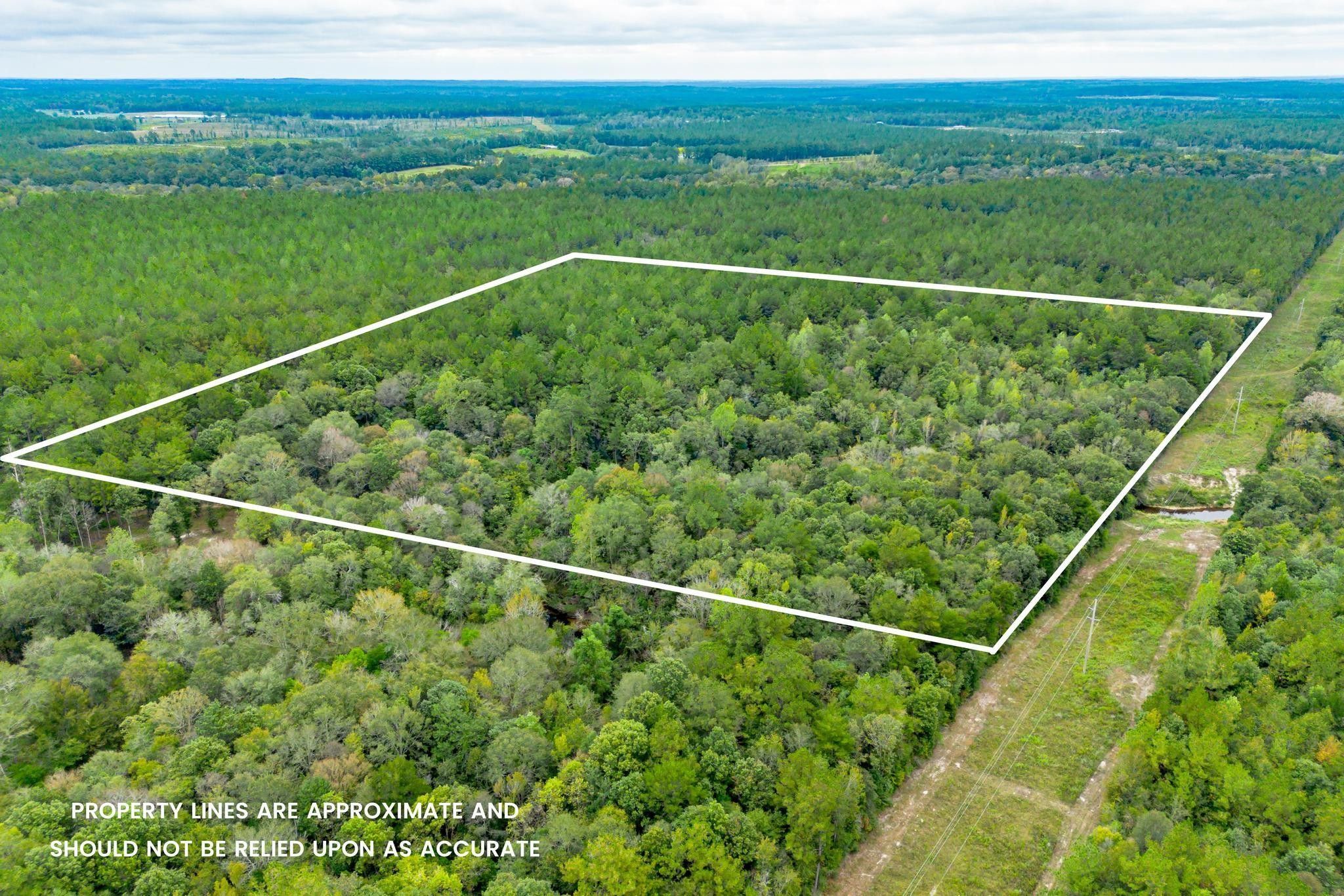 40 Acres, 40 Acres MOL, Richton, MS 39476 Land and Farm