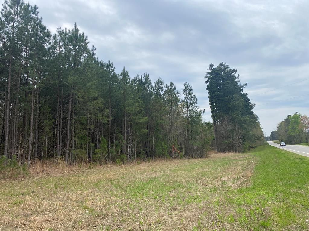 Colonial Trail HIghway, Blackstone, VA 23824 MLS 52591 Land and Farm