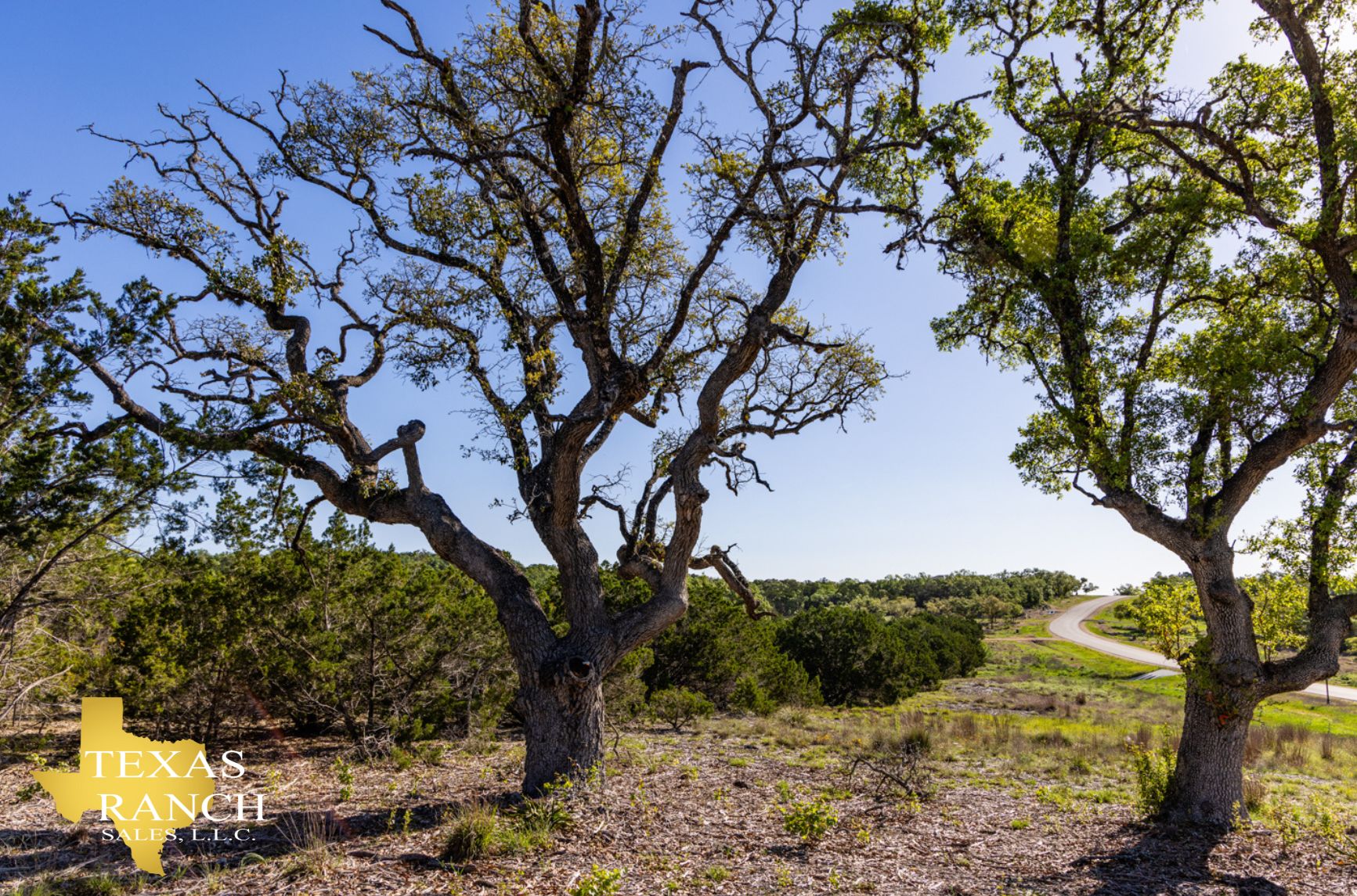 11 acres in Bulverde, TX, 78163 Land and Farm