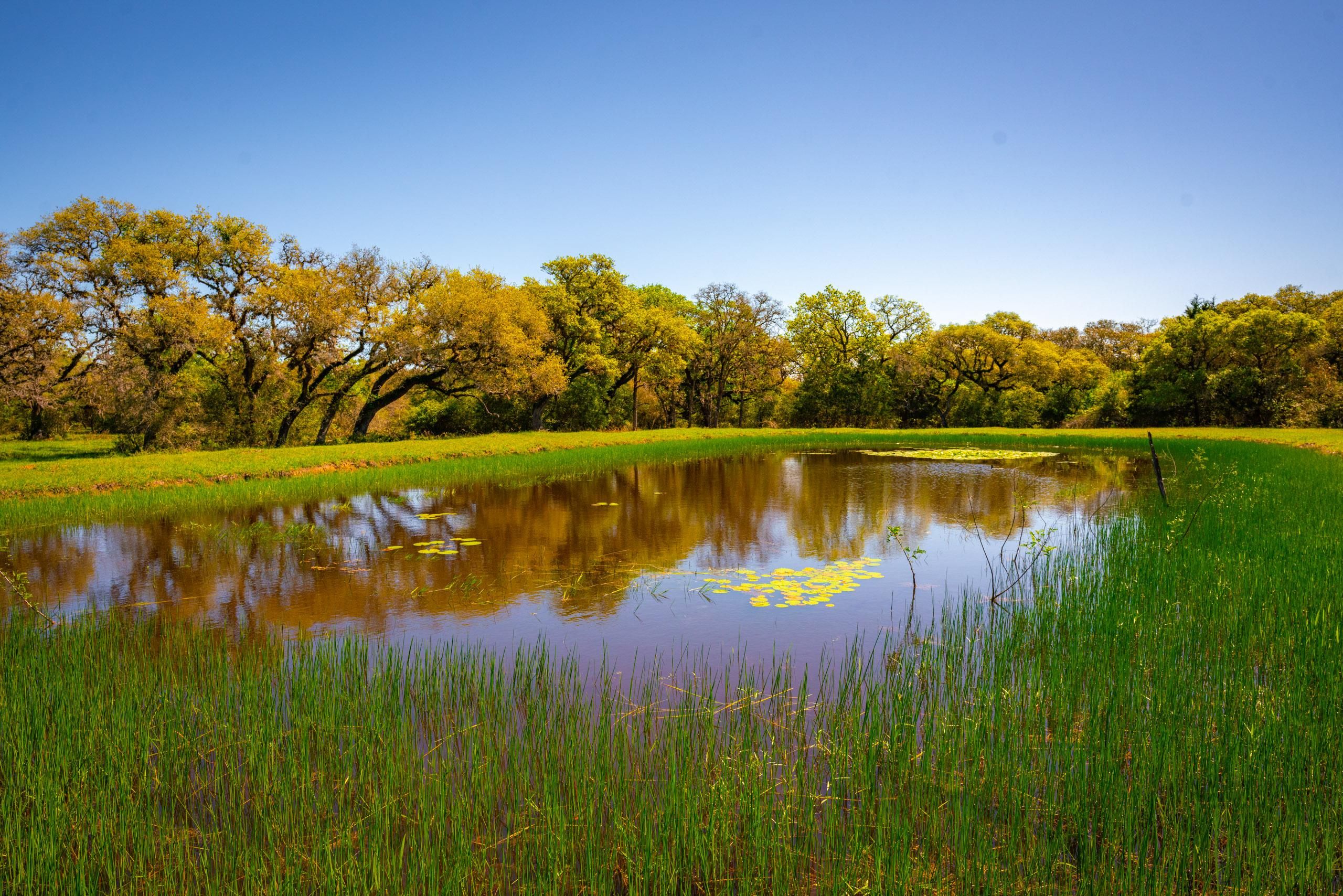 227.81 acres in Hallettsville, TX, 77964 Land and Farm