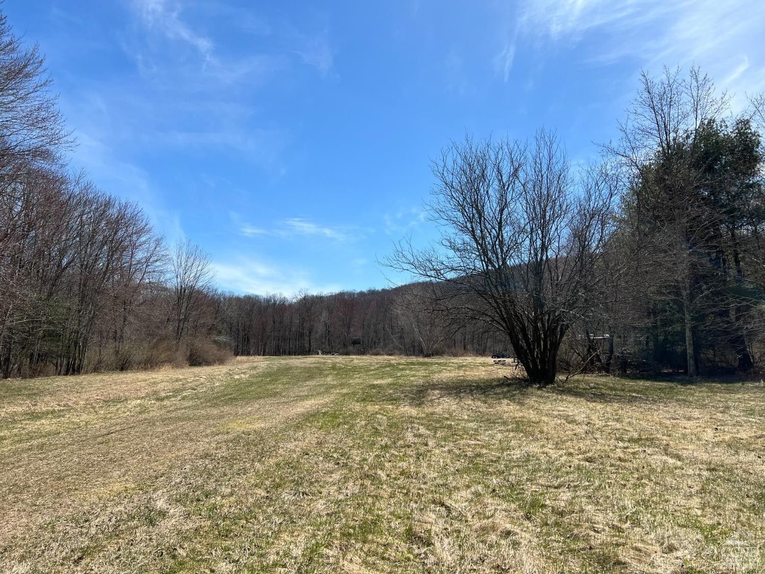 0 Pumpkin Hollow South, Copake, NY 12529 MLS 152182 Land and Farm