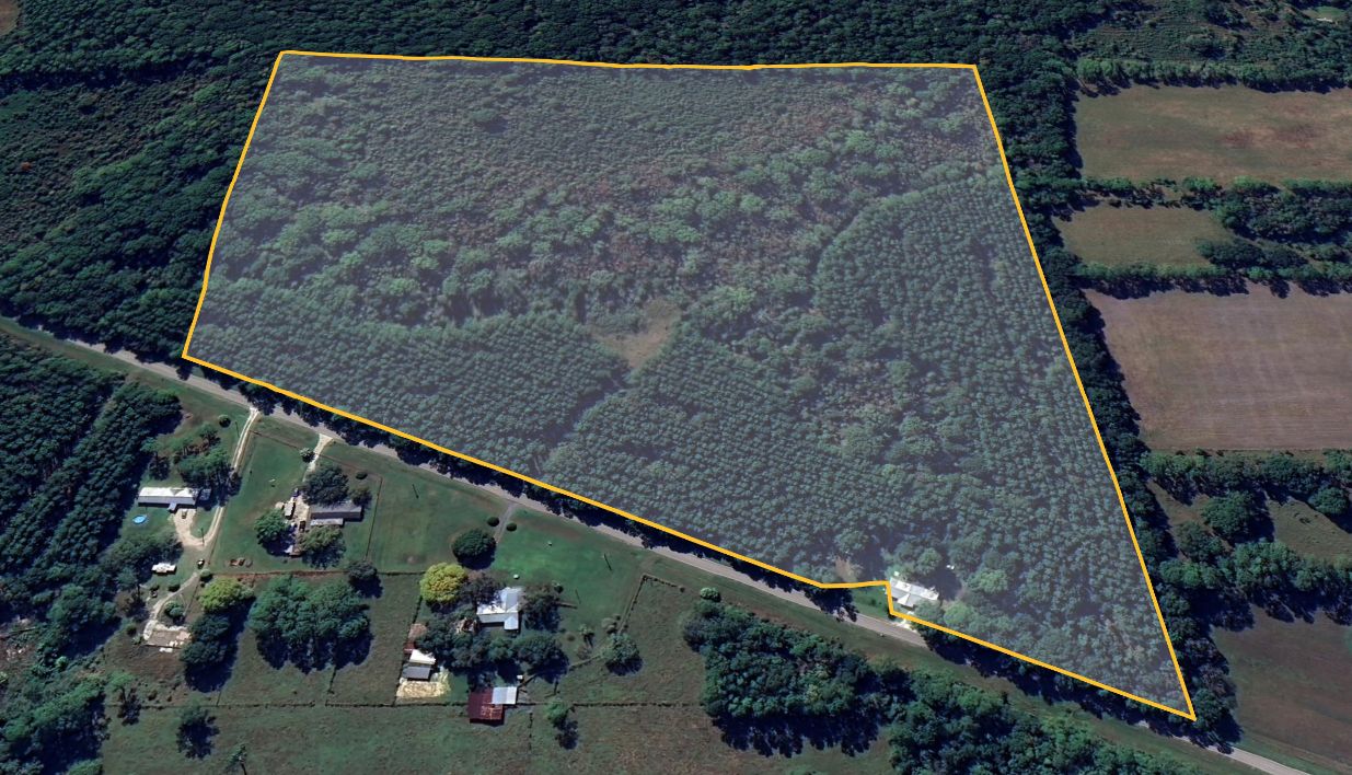 Northwest County Road 125, Lawtey, FL 32058 Land and Farm