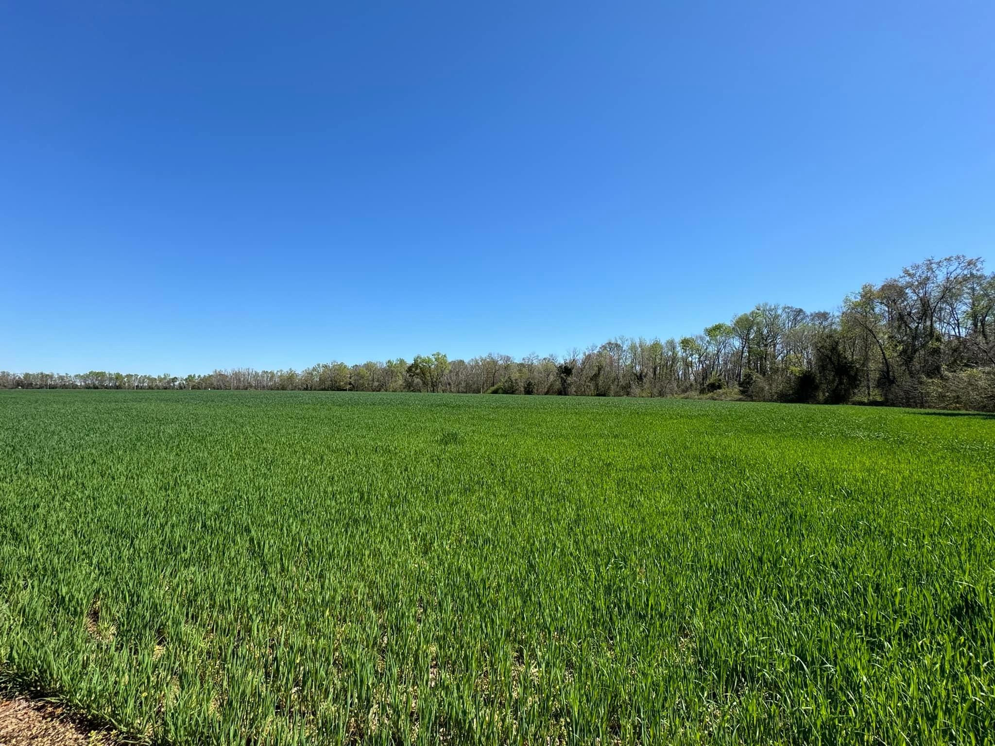 Tee Vee Road, Santee, SC 29142 MLS 582870 Land and Farm