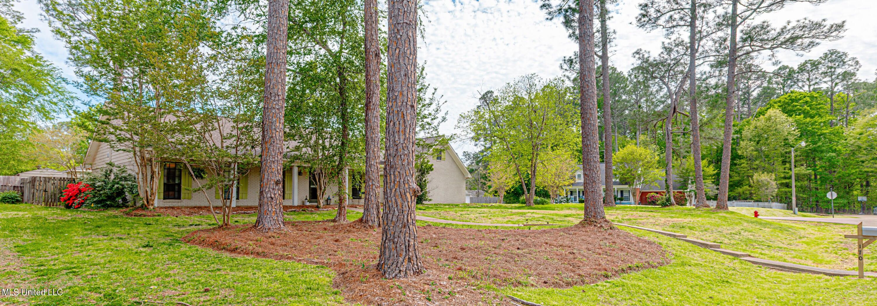 0.48 Acres, 170 Sumac Drive, Madison, MS 39110 Land and Farm